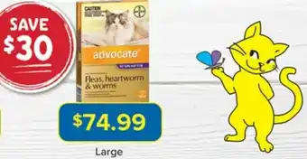 PetO Advocate Heartworm & Worming Treatment For Cats offer