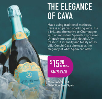 Villa Conchi Brut Selection Cava Spain