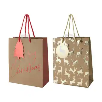Assorted medium craft gift bag