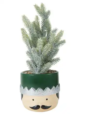 Festive ceramic pot & mini christmas tree - nutcracker