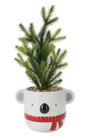 Kmart Festive ceramic pot & mini christmas tree - koala offer