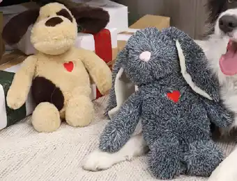 Pet stock Buddy & belle comfort me bunny or puppy offer