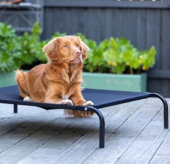 Pet stock Lexi & me outdoor patio bed, black offer