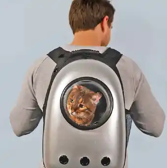 Pet stock Buddy & belle cat backpack silver offer