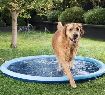 Pet stock Lexi & me pet sprinkler pad blue offer