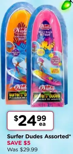 Toyworld Surfer Dudes Assorted offer