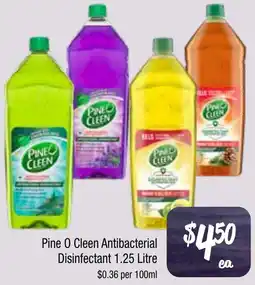 Pine O Cleen Antibacterial Disinfectant