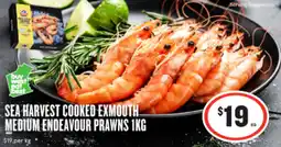 IGA Sea harvest cooked exmouth medium endeavour prawns offer