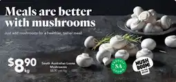 Drakes South Australian Loose Mushrooms offer