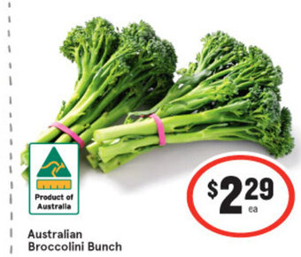 Australian Broccolini Bunch