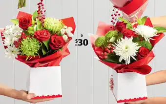 ALDI Rudolph's Arrangement offer