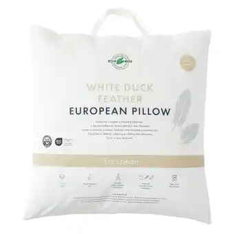 Pillow Talk Duck Feather European Pillow by Greenfirst offer