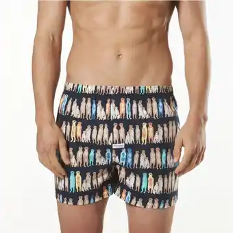 Harris Scarfe Mitch dowd boxer in assorted prints offer