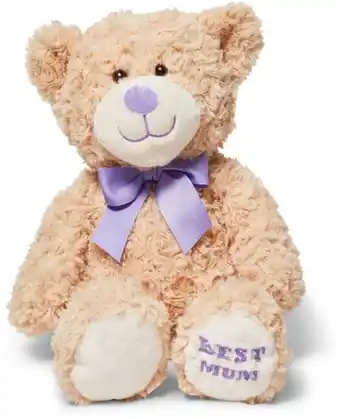 BIG W Motheru2019s Day 33cm Bear - Purple offer