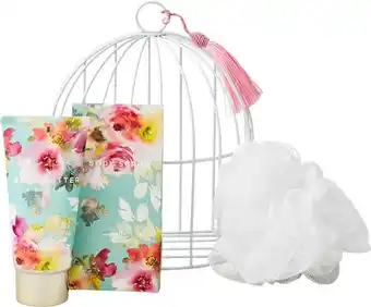 Motheru2019s Day Bird Cage Gift Pack