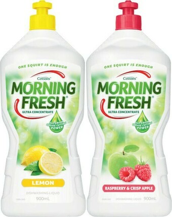 Coles Morning Fresh Dishwashing Liquid 900mL offer