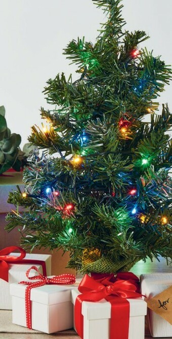 Coles Coles Led Fairy Lights 250 Pack offer