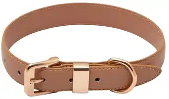 Pet stock Buddy & belle leather collar, tan offer