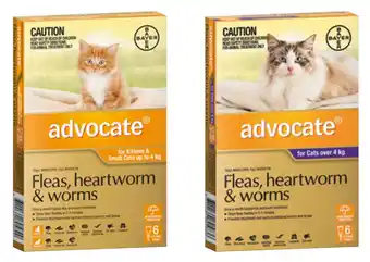 Advocate flea, heartworm and worming spot on treatment for cats 6 pack