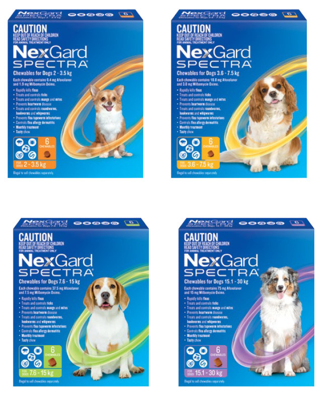 Nexgard spectra flea, tick, heartworm, worms & mite treatment for dogs 6 pack offer at Pet stock