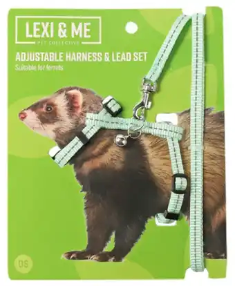 Pet stock Lexi & me ferret adjustable harness & lead set one size offer