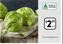 Foodworks Crisp Iceberg Lettuce offer