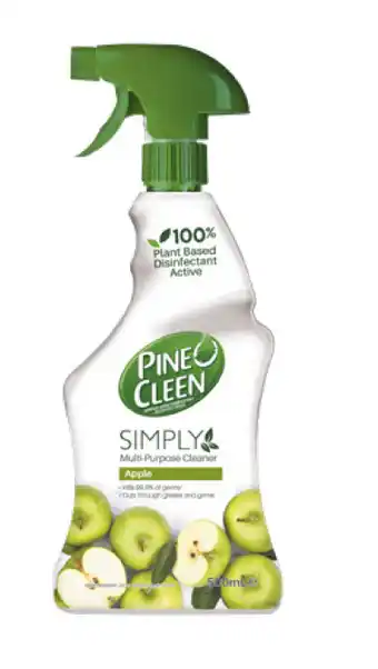 BIG W Pine o cleen multi-purpose cleaner 500ml offer