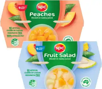 Coles SPC Fruit Snack Cups 4x120g offer