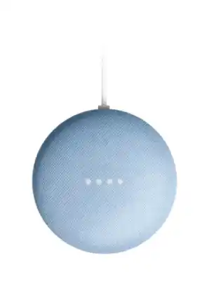 Google nest home mini - skysmart