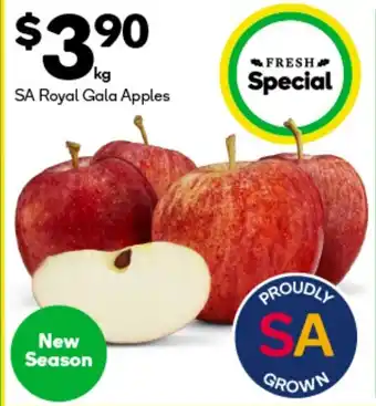 Woolworths SA Royal Gala Apples offer