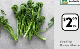 Foodworks Farm Fresh Broccolini Bunches offer