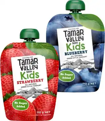 Coles Tamar Valley Dairy Kids Greek Style Yoghurt Pouch 110g offer