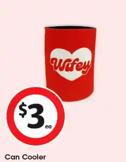 Coles Can Cooler offer