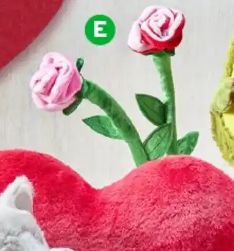 Woolworths Valentine's Day Plush Rose - Assorted offer