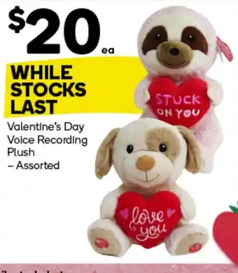 Woolworths Valentine's Day Voice Recording Plush -Assorted offer