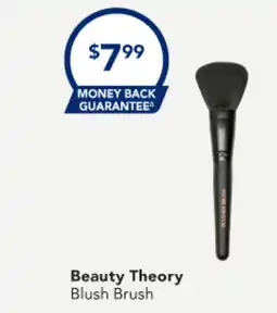 Amcal Pharmacies Beauty Theory Blush Brush offer