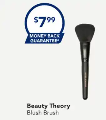 Amcal Pharmacies Beauty Theory Blush Brush offer