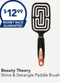 Amcal Pharmacies Beauty Theory Shine & Detangle Paddle Brush offer