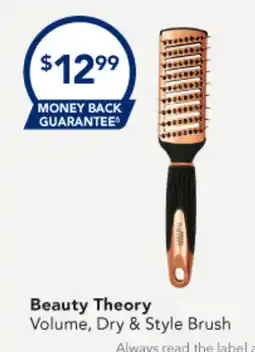 Amcal Pharmacies Beauty Theory Beauty Theory Volume, Dry & Style Brush offer