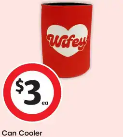 Coles Can cooler offer