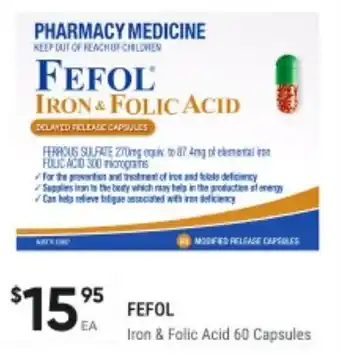 Healthy Life Iron & Folic Acid offer