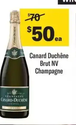 Liquorland Canard Duchêne Brut NV Champagne offer