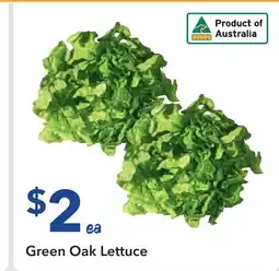 Ritchies Green Oak Lettuce offer