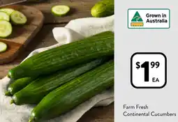 Foodworks Farm Fresh Continental Cucumbers offer