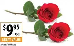 Supabarn Single stem roses offer