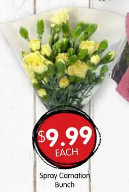 Spudshed Spray Carnation Bunch offer