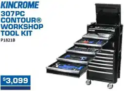 Burson Auto Parts 307pc contour workshop tool kit offer