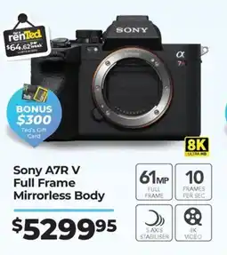 Teds Cameras Sony A7R V offer