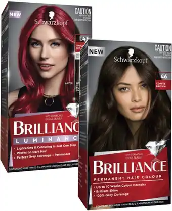 Coles Schwarzkopf Brilliance Colourant 1 Pack offer