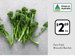 Foodworks Farm Fresh Broccolini Bunches offer